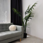 Studio Imperial 4 Seasons_02